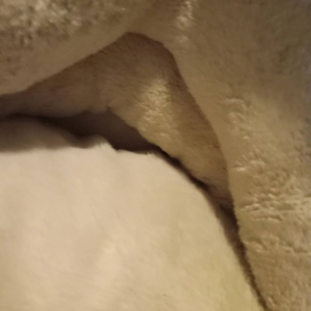 Cat bed